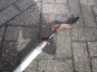 avjb31 halter rundumleucht